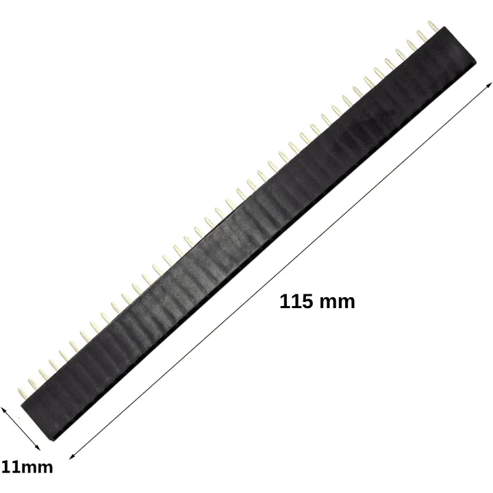 40x1 Female Berg Strip - Image 3